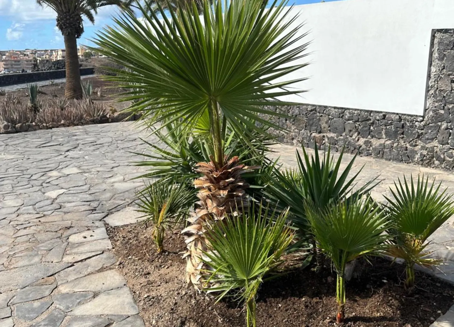 Balcon Del Mar Tenerife Arona  Spain