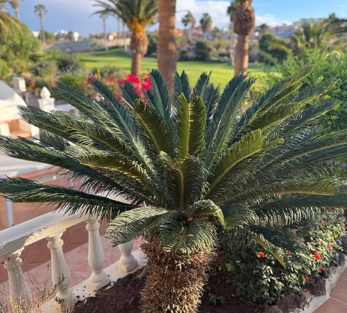 Balcon Del Mar Tenerife Arona  Apartment Arona (Tenerife)